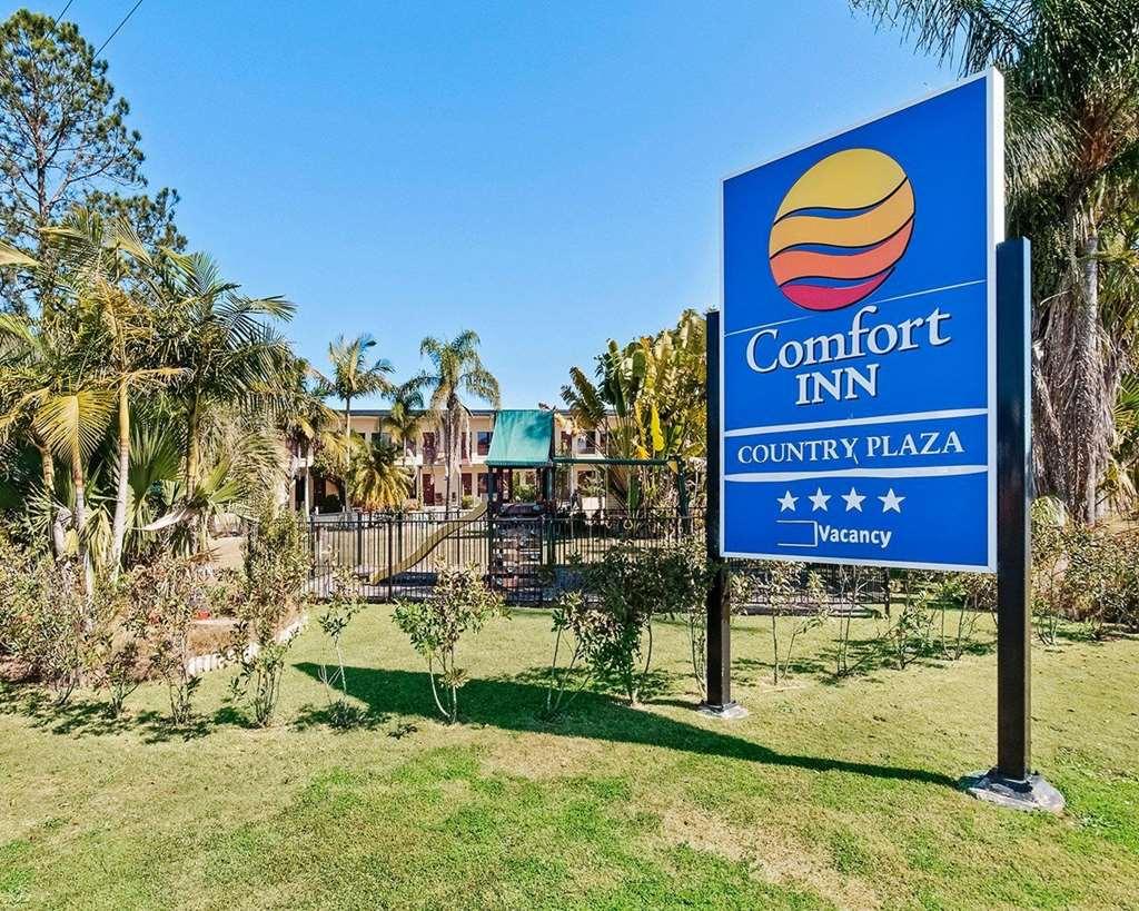 Country Plaza Motel Taree Exterior photo